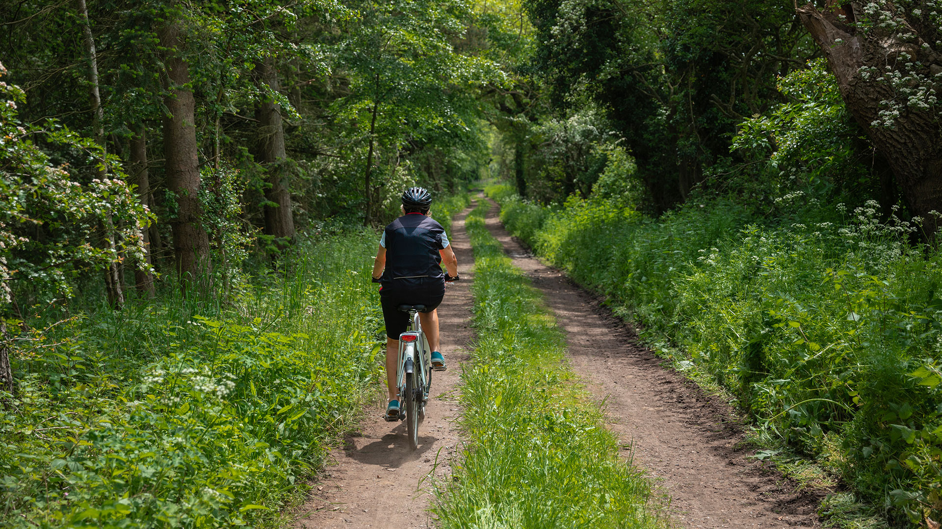 Eine Radfahrerein ist von hinten zu sehen wie sie auf einem Waldweg durch einen sommerlichen Wald radelt